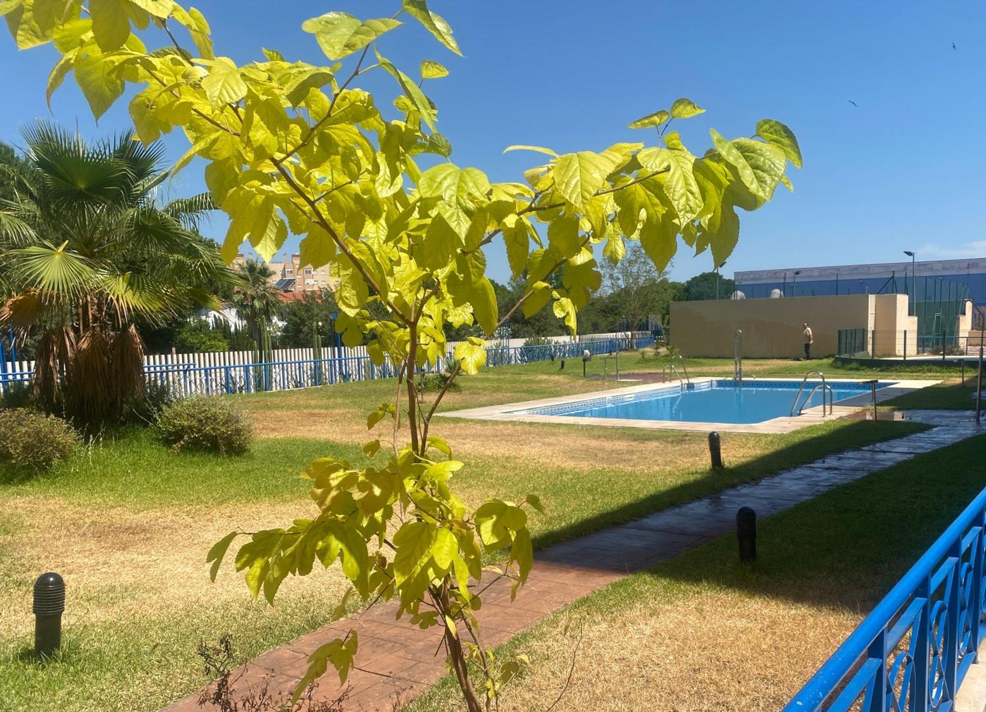 Fibes Apartamento Con Piscina Y Parking Gratis Séville Extérieur photo